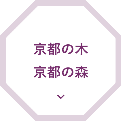 京都の木、京都の森